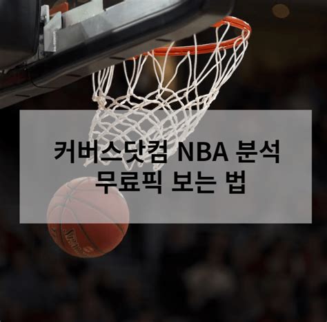 nba 보는 법